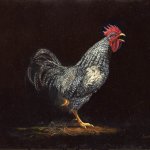 Timothy Barr, The Yard Boss, Oil on Panel, 11 x 14 inches