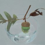 Greg Mort, Watery Oak, Oil on Panel, 14 x 24 inches