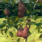 Jon Redmond, Pears, oil on board, 8 x 12 inches