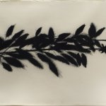 Donald Sultan, Black Roses, August 19, 1989, 1989, charcoal on paper, 22 x 30 inches