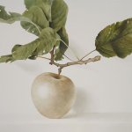 Greg Mort, Apple White, 2013, watercolor, 26 x 35 inches