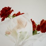 Greg Mort, Red Through White, 2013, watercolor, 21 x 28 inches