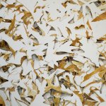 Greg Mort, White Frosting, 2013, watercolor, 21 x 28 inches