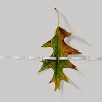 Greg Mort, Woven White, 2013, watercolor, 21 x 28 inches