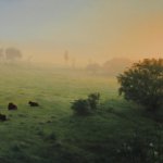Scott Prior, Cows at Sunrise, 2015, oil on board, 12 x 36 inches