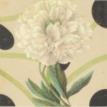 Dan Rizzie, Winter Flower, Collage on paper 7 3/4 x 9 3/4 inches