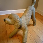Eric Berg, Standard Poodle, bronze, 38 x 12 x 42 inches, edition 2/2