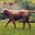 J. Clayton Bright, Mr. Woodward, bronze, lifesize