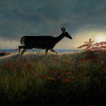 Timothy Barr, Doe in Sumac, 2014, oil on panel, 20 x 24 inches