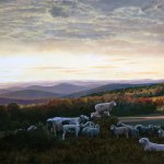 Timothy Barr, Higher Ground, 2014, oil on panel, 24 x 40 inches