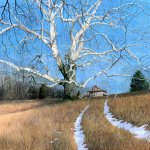 Timothy Barr, Holy Branches, 2014, oil on panel, 36 x 36 inches