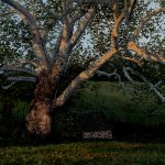 Timothy Barr, In the Dell, 2014, oil on panel, 12 x 16 inches