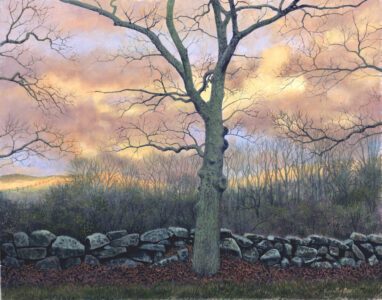 Timothy Barr, Mossy Oak, 2014, Oil on panel, 11 x 14 inches