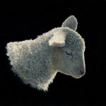 Timothy Barr, Phoebe, 2014, oil on panel, 11 x 14 inches