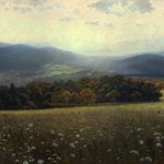 Timothy Barr, Queen Anne's Lace, 2014, oil on panel, 20 x 30 inches