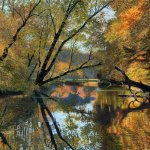 Timothy Barr, Reflections, 2014, oil on panel, 20 x 30 inches