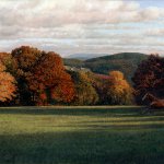 Timothy Barr, The Race, 2014, oil on panel, 16 x 40 inches