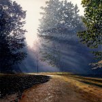 Timothy Barr, The Stream of Our Yard, 2014, oil on panel, 16 x 16 inches