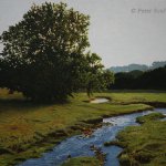 Peter Sculthorpe, Evening Pasture, 2014, oil, 14 x 18 inches