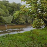 Peter Sculthorpe, Late Summer Shallows, 2014, oil, 13 x 25 1/2 inches