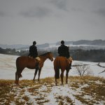 Peter Sculthorpe, The Hilltoppers, 2012, oil on linen, 26 x 30 inches