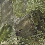 Jamie Wyeth, Engulfed, 1972, watercolor and pencil on paper, 29 1/2 x 21 3/4 inches