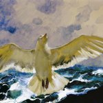 Jamie Wyeth, Gull Rising, 2008, gesso, gouache and watercolor on rag board, 20 x 16 inches