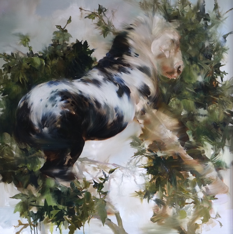 Sarah McRae Morton, Lightning, Pippins, Oil on linen, 36 x 36 inches