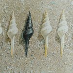 Greg Mort, Paradigm, 2014, watercolor, 20 x 23 inches