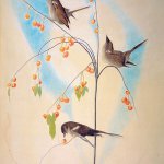 Joseph Stella, Study for Song of Birds, c.1920-26, silverpoint and crayon on paper, 27 1/4 x 21 1/4 inches