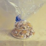 Janet Monafo, Anonymous Gift, 2011, pastel on paper, 44 x 30 inches