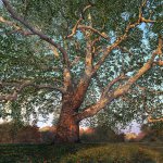 Timothy Barr, A Thousand Words, oil on panel, 39 x 42 inches