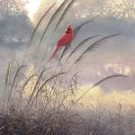 Timothy Barr, Cardinal, Oil on panel, 24 x 16 inches