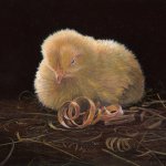 Timothy Barr, Single Chick, oil on panel, 8 x 11 1/2 inches