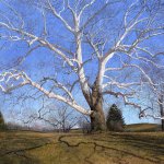 Timothy Barr, Skin and Bones, oil on panel, 39 x 42 inches