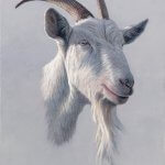 Timothy Barr, Goatee, 2017, oil on board, 14 x 11 inches