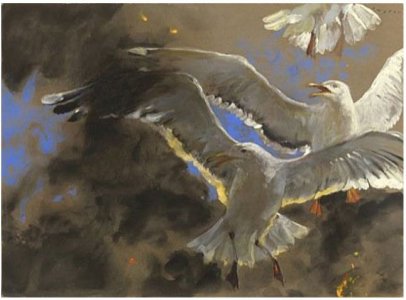 Jamie Wyeth, Gulls of the Inferno, 2007, Watercolor and gouache on toned handmade rag paper, 22 x 30 3/8 inches