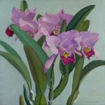 Jane Peterson (1876 - 1965), Cattleya Orchids, Oil on canvas, 32 x 32 inches