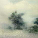 Sarah McRae Morton, A Yard Where the Grass Grows White and the Trees Grow Blue, 2015, Oil on board, 24 x 24 inches