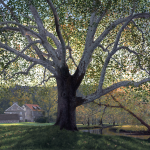 Timothy Barr, Brinton Mill Backlit, 2018, oil on panel, 24 x 36 inches