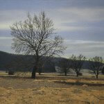 Peter Sculthorpe, Fallen Fallow, 2018, Oil on canvas, 9 x 12 inches