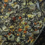 Peter Sculthorpe, Shallow Waters, 2018, Watercolor on mounted rag, 60 x 80 inches