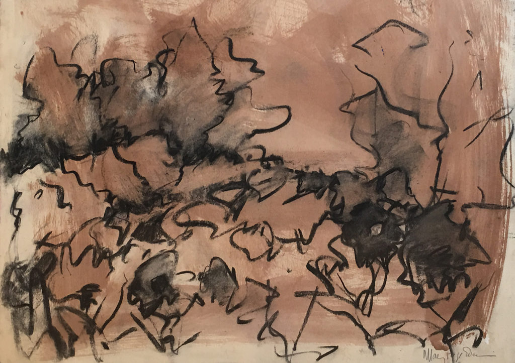 Mary Page Evans, Peony Study, 2018, Charcoal on paper, 15 x 20 3/4 inches