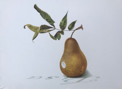 Greg Mort, Appoggiare Pera, 2019, Watercolor, 22 x 28 inches