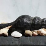 Jon Mort, Carbon Copy, 2019, Colored pencil on Bristol board, 8 x 18 inches