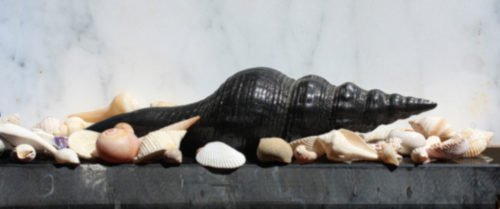 Jon Mort, Carbon Copy, 2019, Colored pencil on Bristol board, 8 x 18 inches