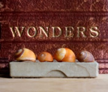 Jon Mort, Wonders, 2019, Colored pencil on Bristol board, 12 x 16 inches