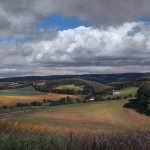 Timothy Barr, Albany Township, Oil on panel, 12 x 20 inches