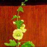 J. Clayton Bright, Hollyhock, Oil on linen on panel, 15 x 10 ½ inches