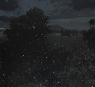 Michael Allen, Solstice, 2021, Oil on linen, 48 x 52 inches